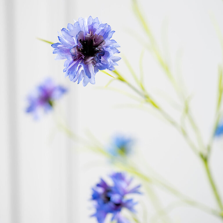 Kunststeel Korenbloem met paarse zijden bloemen en groene bladeren is een kunststeel met een natuurgetrouwe uitstraling en een lengte van 92 cm.