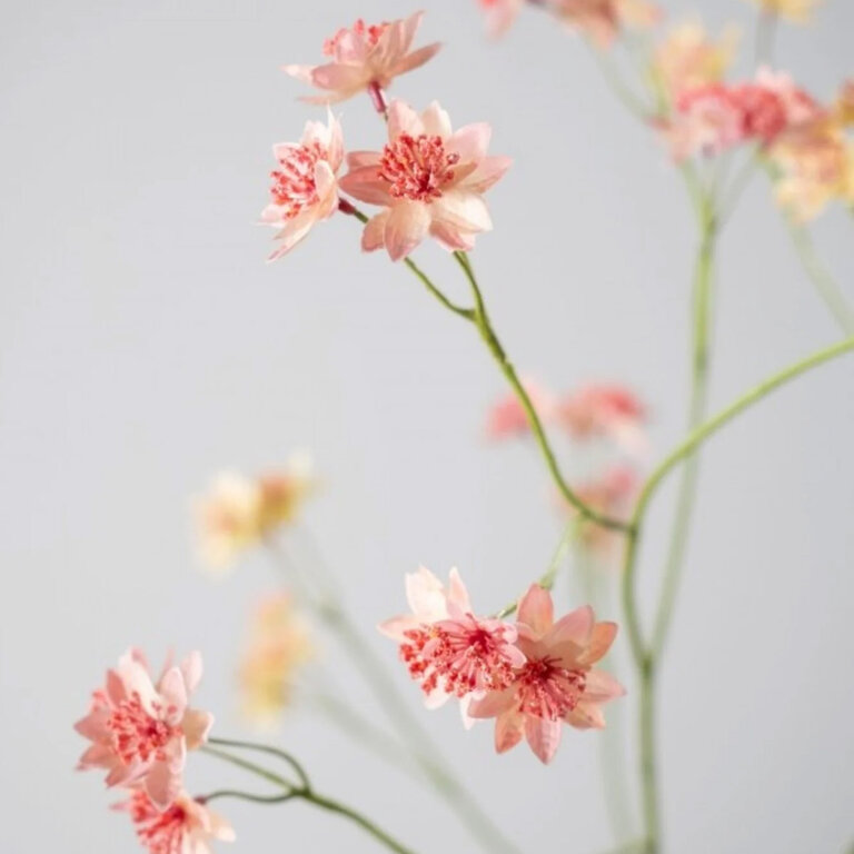 Kunststeel Astrantia met roze zijden bloemen is een kunststeel met een natuurgetrouwe uitstraling en een lengte van 95 cm.