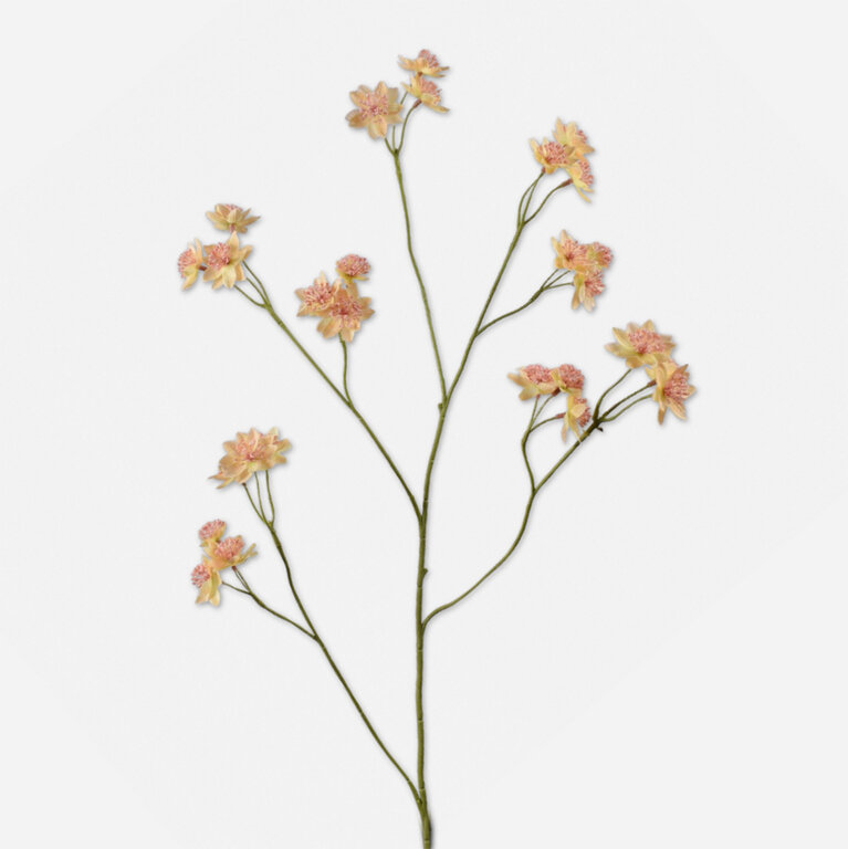 Kunststeel Astrantia met lichtroze zijden bloemen is een kunststeel met een natuurgetrouwe uitstraling en een lengte van 95 cm.