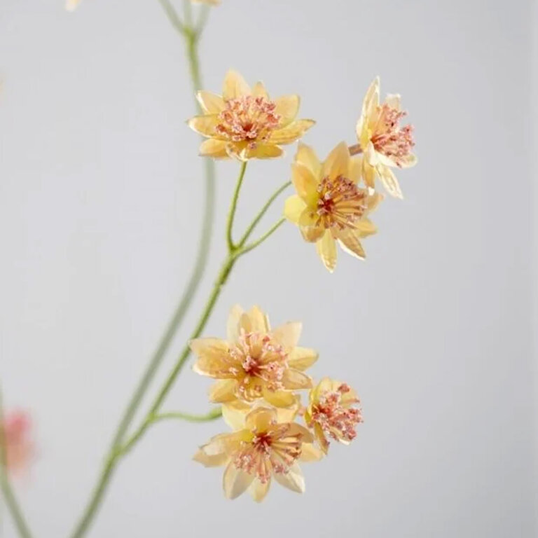 Kunststeel Astrantia met lichtroze zijden bloemen is een kunststeel met een natuurgetrouwe uitstraling en een lengte van 95 cm.