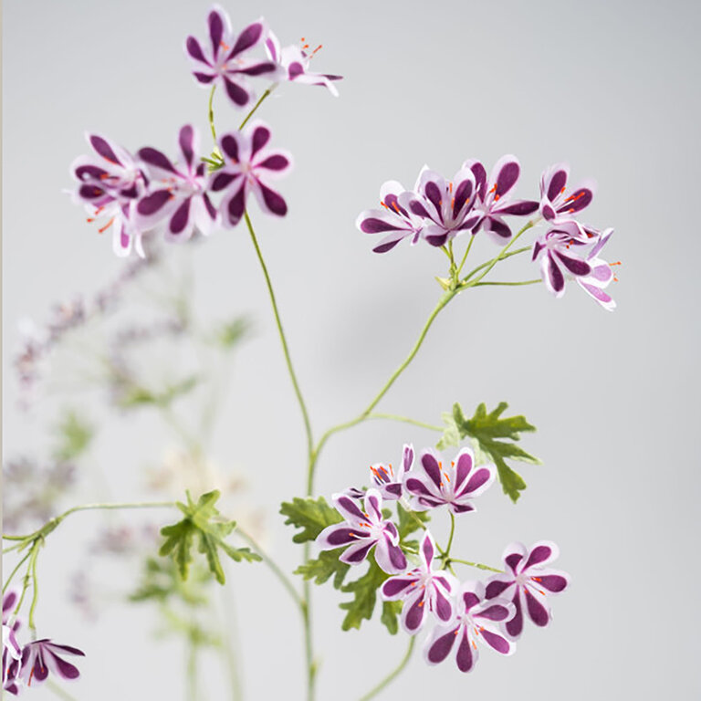 Kunststeel Geranium met paarsroze zijden bloemen en groene bladeren is een kunststeel met een natuurgetrouwe uitstraling en een lengte van 94 cm.