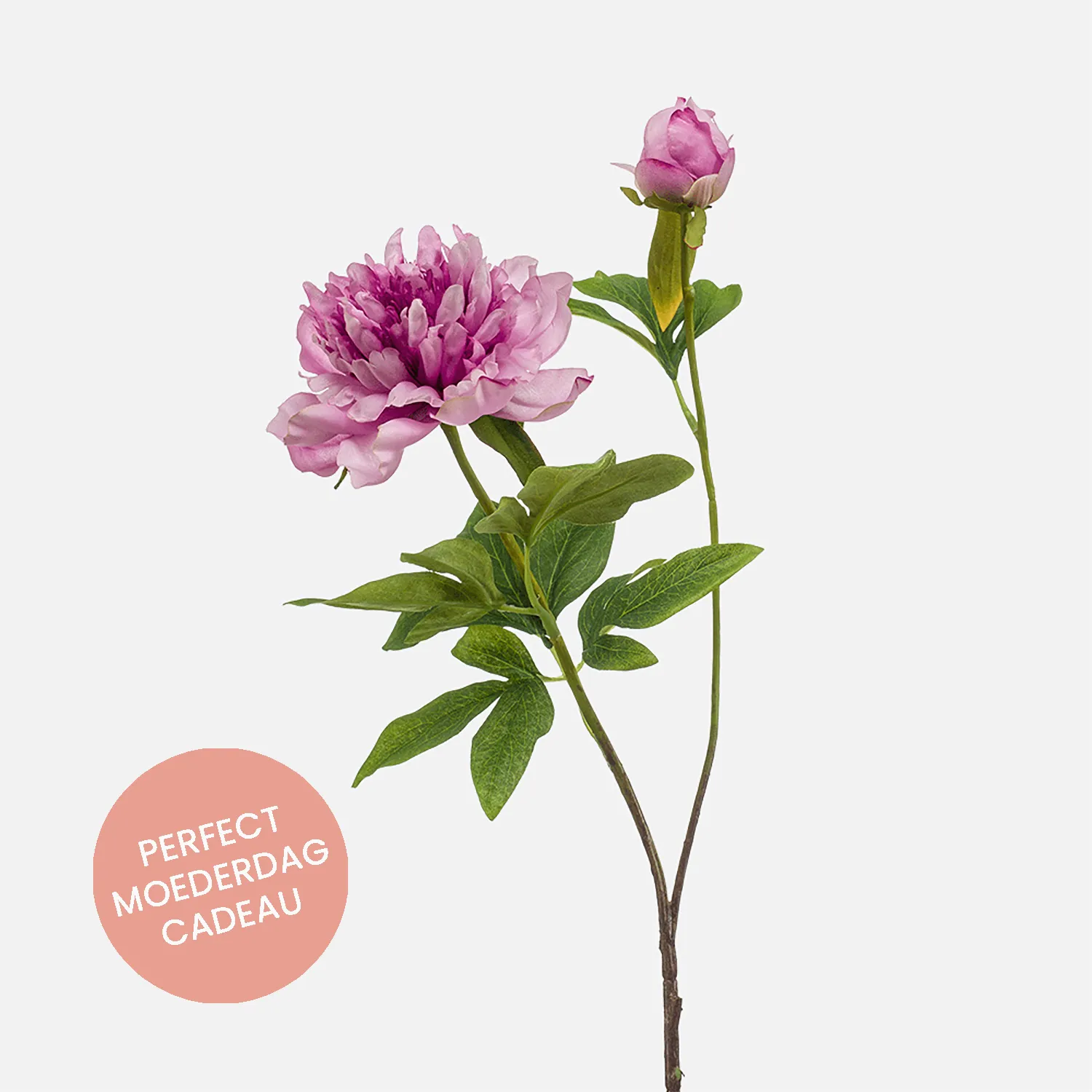 FloraWorks Kunstbloem Pioenroos paars (73 cm)