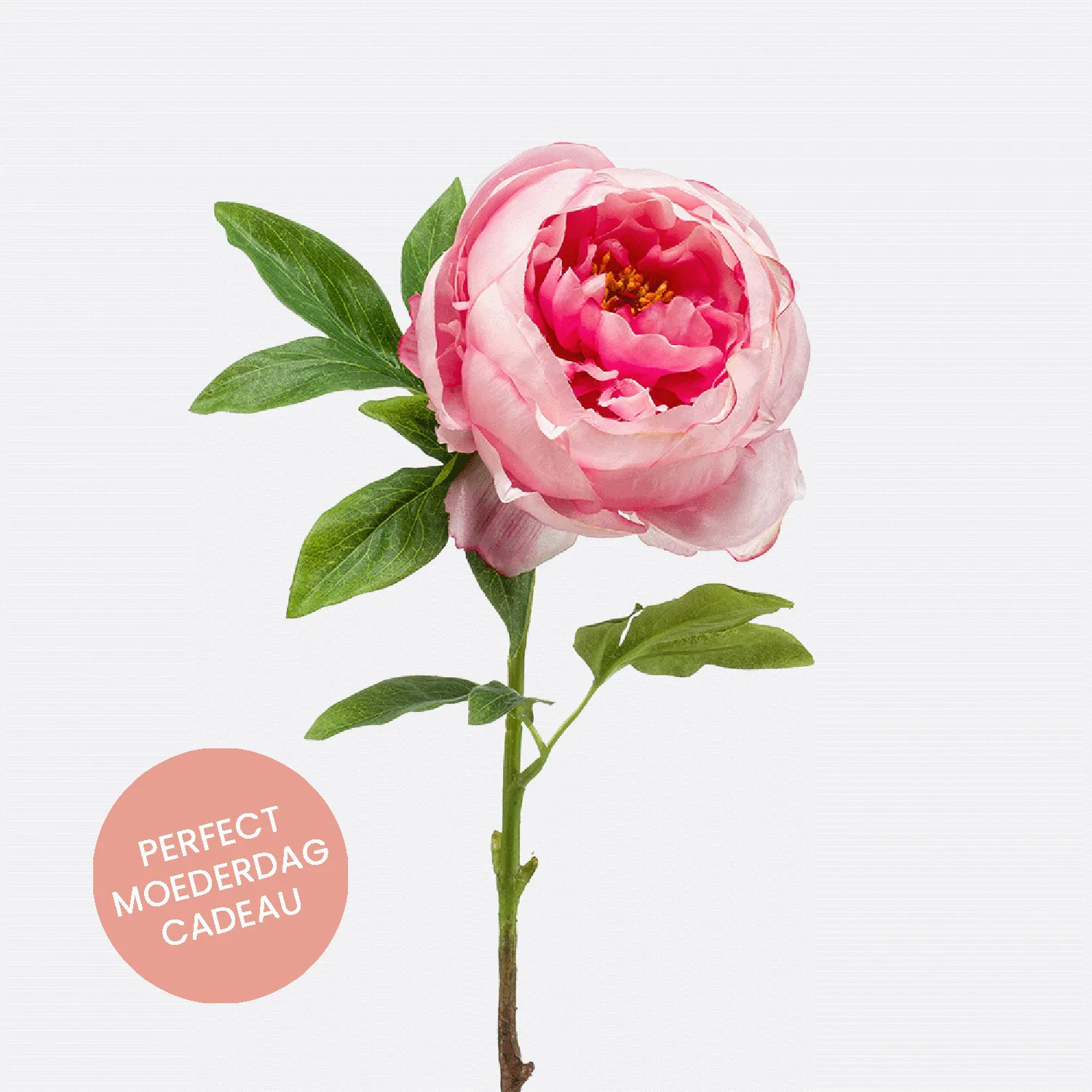 FloraWorks Kunstbloem Pioenroos roze (63 cm)