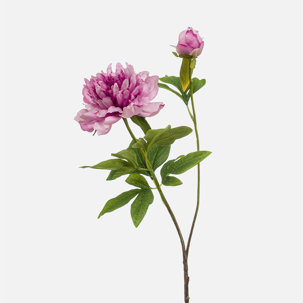 FloraWorks Kunstbloem Pioenroos paars (73 cm)