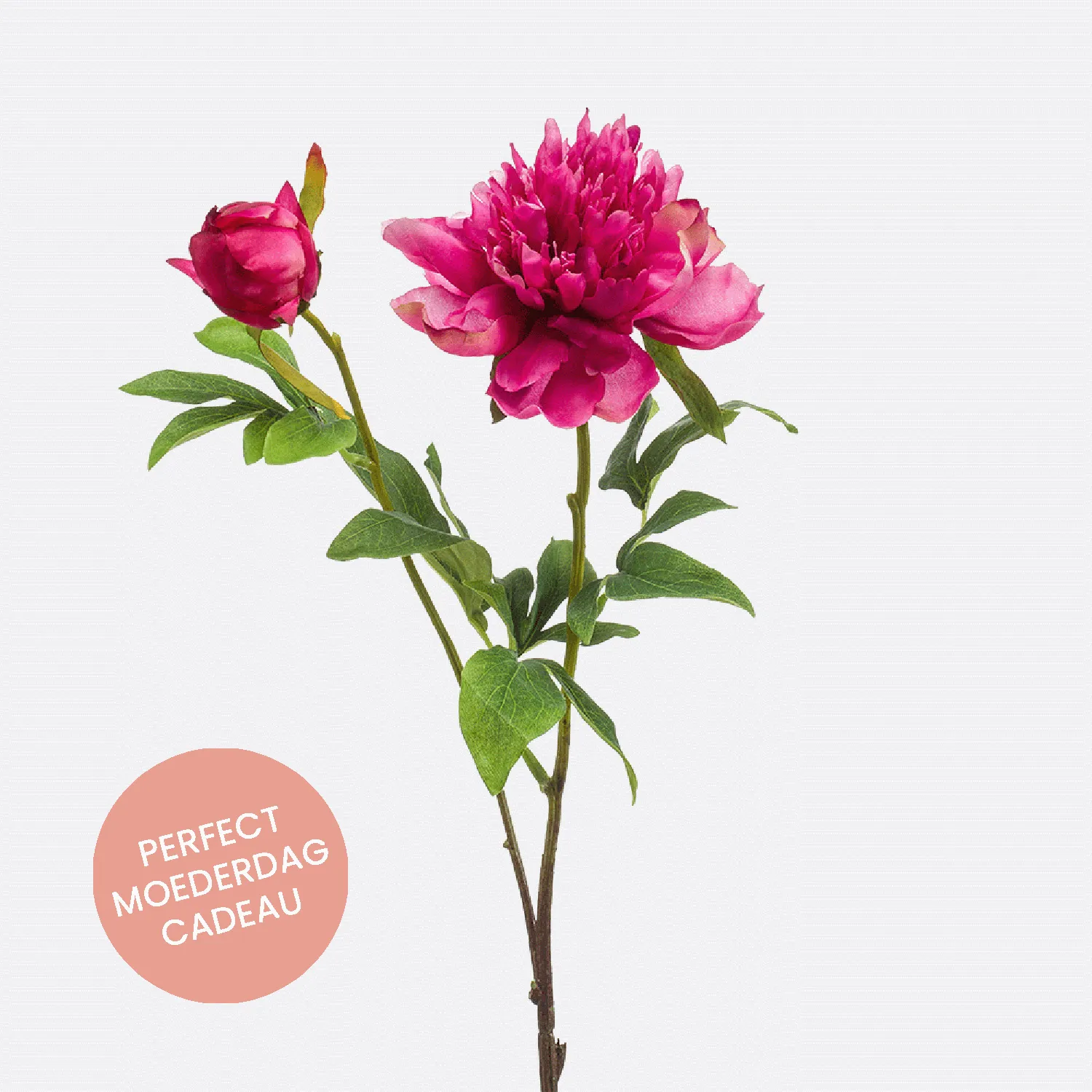 FloraWorks Kunstbloem Pioenroos donkerroze (73 cm)