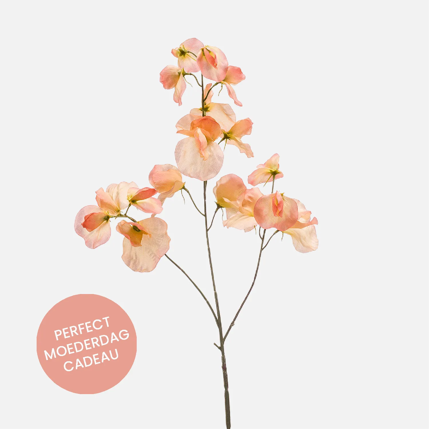 FloraWorks Kunstbloem Lathyrus lichtroze (75 cm)