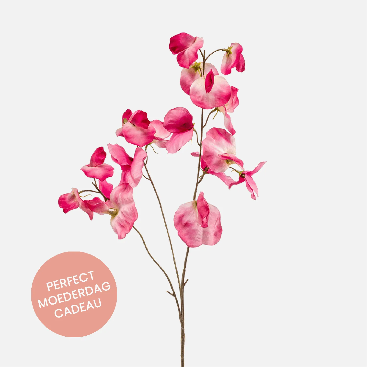 FloraWorks Kunstbloem Lathyrus roze (75 cm)