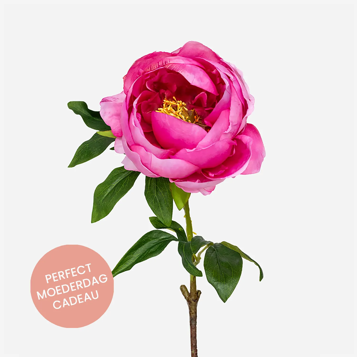 FloraWorks Kunstbloem Pioenroos donkerroze (63 cm)