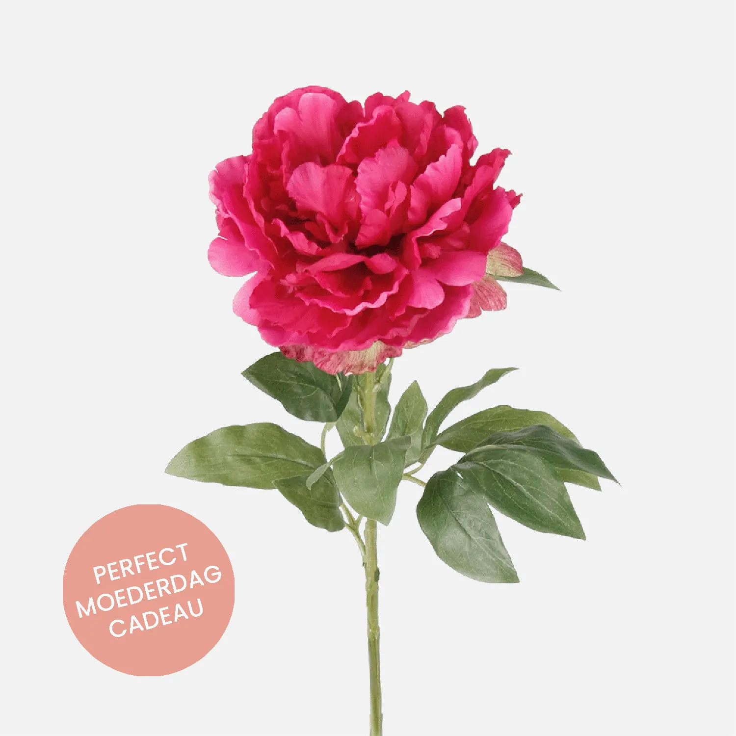 FloraWorks Kunstbloem Pioenroos donkerroze (65 cm)