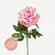 FloraWorks Kunstbloem Pioenroos roze (65 cm)