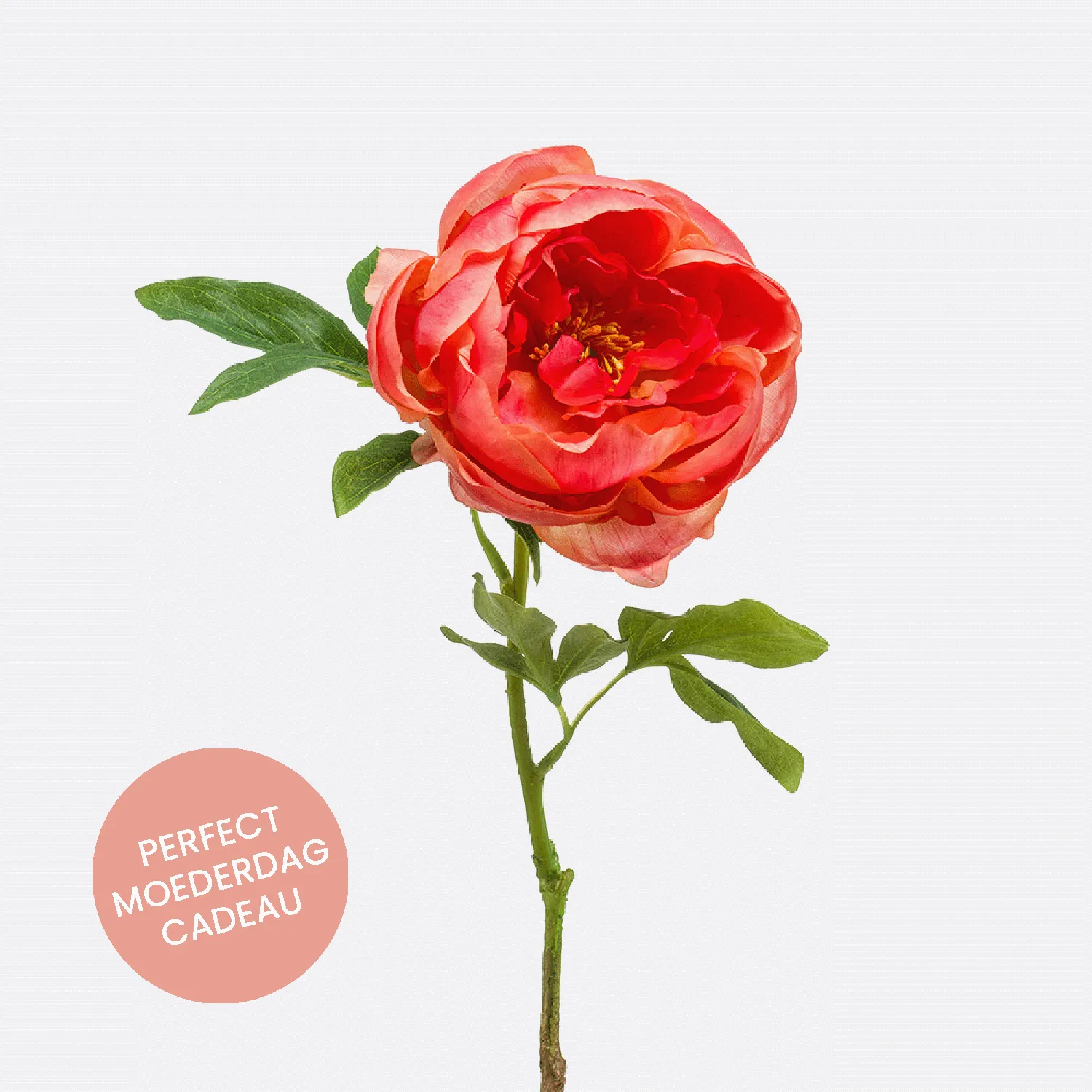 FloraWorks Kunstbloem Pioenroos oranje (63 cm)