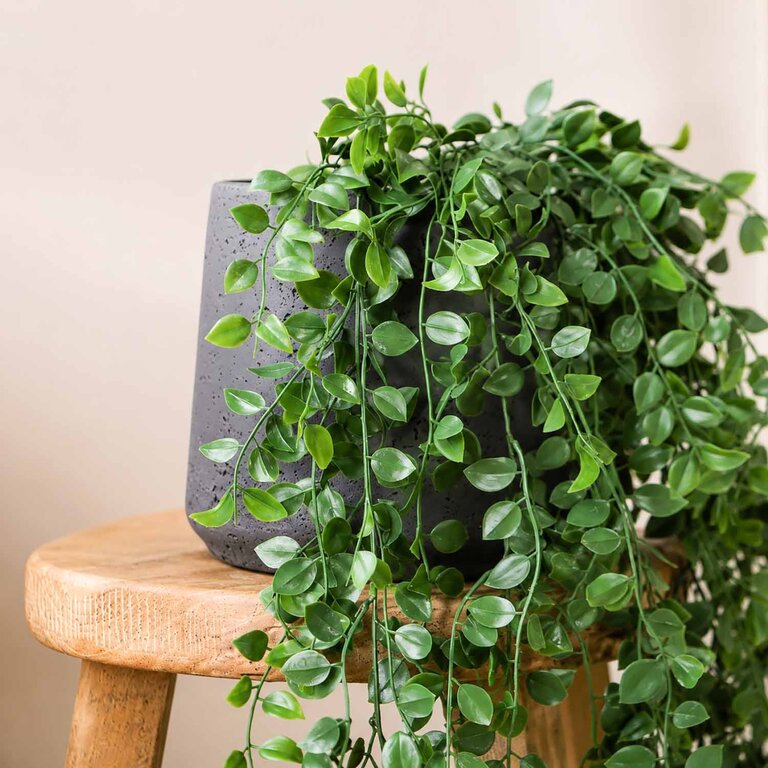 Kunstplant hangend Ficus Pumila met groene bladeren is een hangplant met een natuurgetrouwe uitstraling en een lengte van 80 cm.