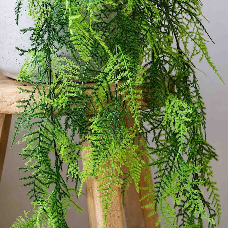 Kunstplant hangend Asparagus Plumosus met groene bladeren is een hangplant met een natuurgetrouwe uitstraling en een lengte van 80 cm.