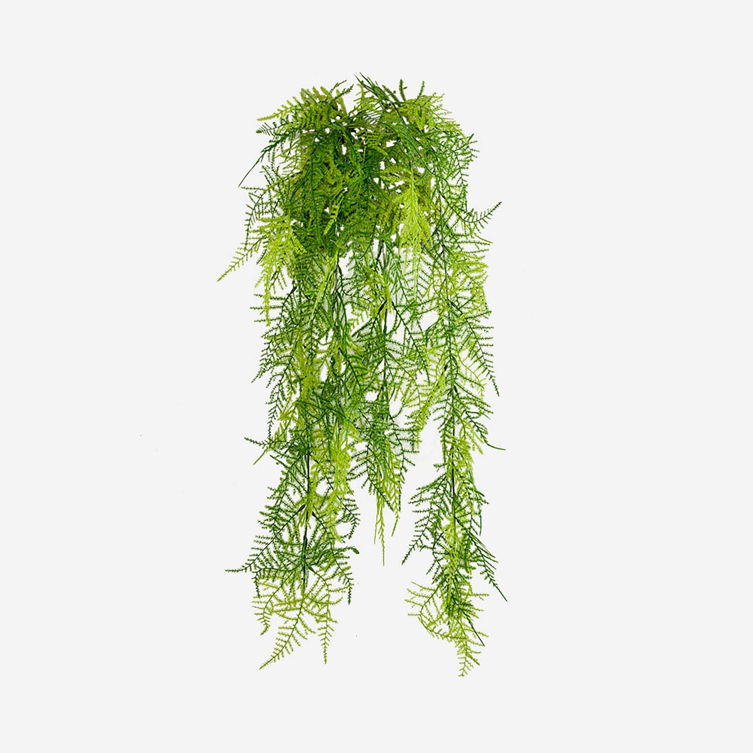 FloraWorks Kunstplant hangend Asparagus Plumosus (80 cm)