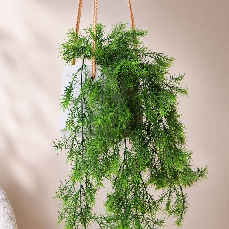 Kunstplant hangend Asparagus Sprengeri met groene bladeren is een hangplant met een natuurgetrouwe uitstraling en een lengte van 75 cm.