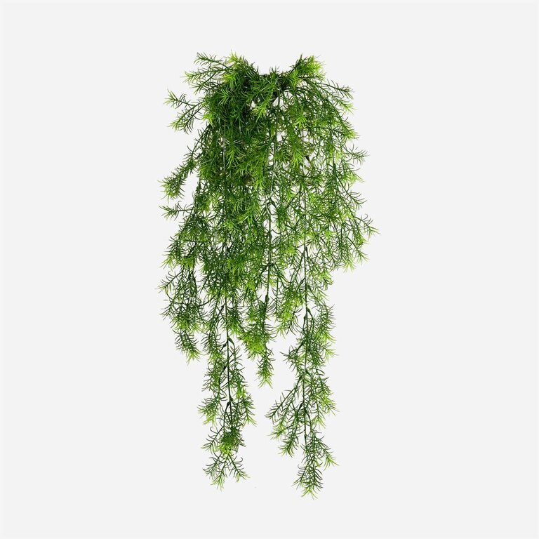 Kunstplant hangend Asparagus Sprengeri met groene bladeren is een hangplant met een natuurgetrouwe uitstraling en een lengte van 75 cm.