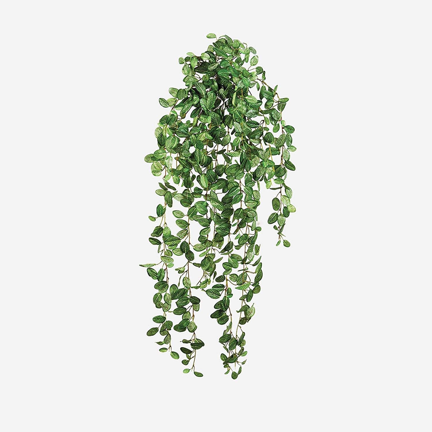 FloraWorks Kunstplant hangend Fittonia (95 cm)