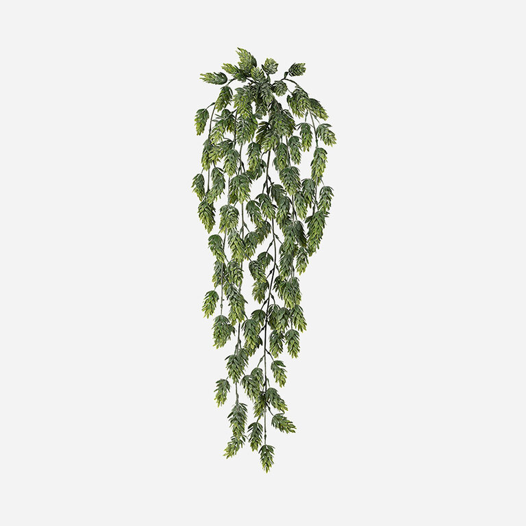 Kunstplant hangend Hop met groene bladeren is een hangplant met een natuurgetrouwe uitstraling en een lengte van 70 cm.