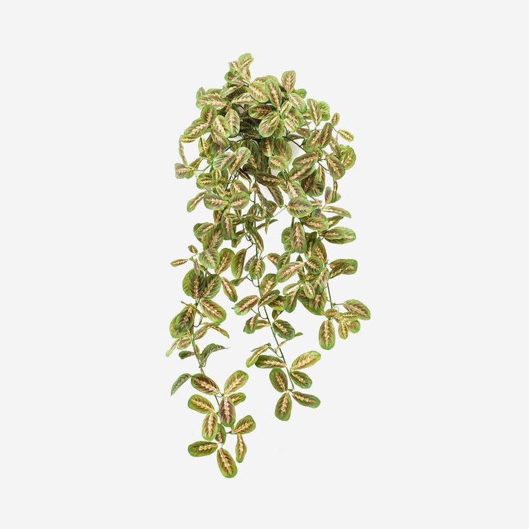Kunstplant hangend Maranta met groenroze bladeren is een hangplant met een natuurgetrouwe uitstraling en een lengte van 70 cm.