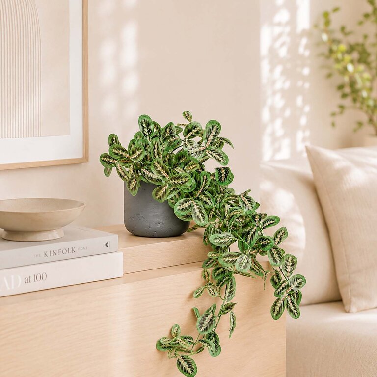 Kunstplant hangend Maranta met groenroze bladeren is een hangplant met een natuurgetrouwe uitstraling en een lengte van 70 cm.