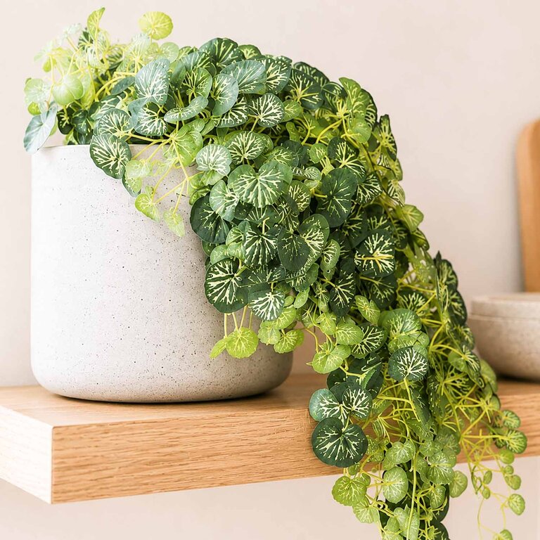 Kunstplant hangend Saxifraga met groenwitte bladeren is een hangplant met een natuurgetrouwe uitstraling en een lengte van 50 cm.