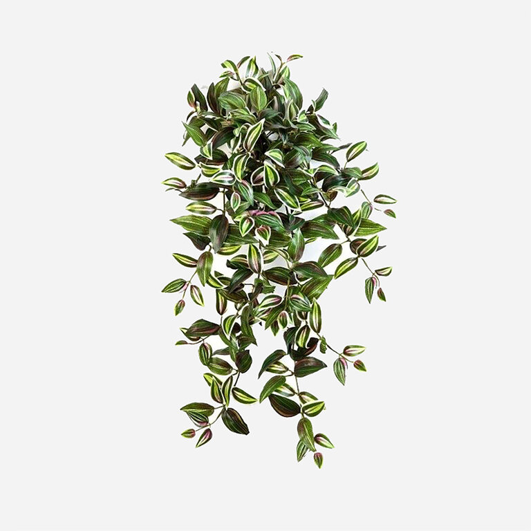 Kunstplant hangend Tradescantia met groenroze bladeren is een hangplant met een natuurgetrouwe uitstraling en een lengte van 70 cm.