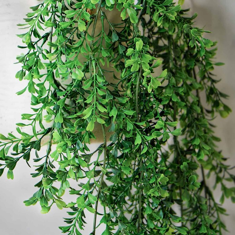 Kunstplant hangend Buxus met groene bladeren is een hangplant met een natuurgetrouwe uitstraling en een lengte van 75 cm.