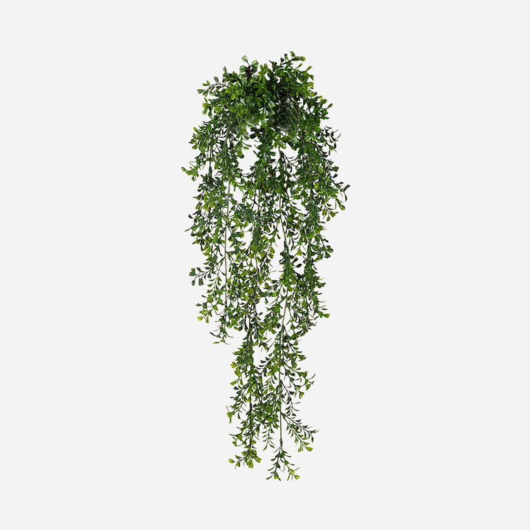 Kunstplant hangend Buxus met groene bladeren is een hangplant met een natuurgetrouwe uitstraling en een lengte van 75 cm.