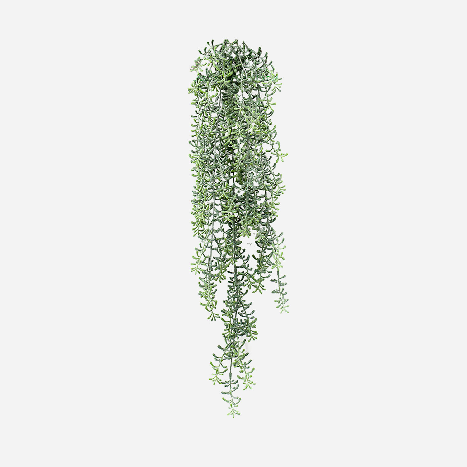 FloraWorks Kunstplant hangend Rhipsalis (72 cm)