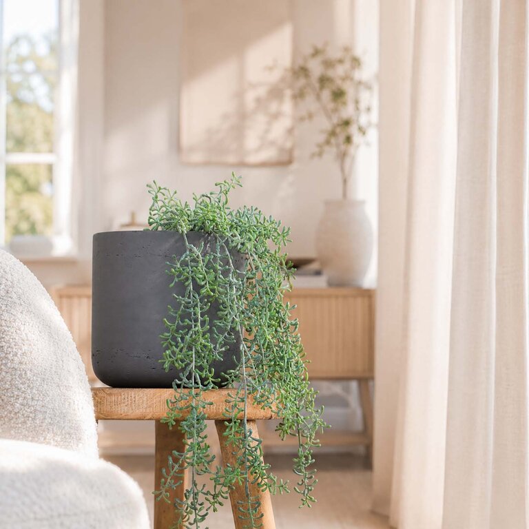 Kunstplant hangend Rhipsalis met groene bladeren is een hangplant met een natuurgetrouwe uitstraling en een lengte van 72 cm.