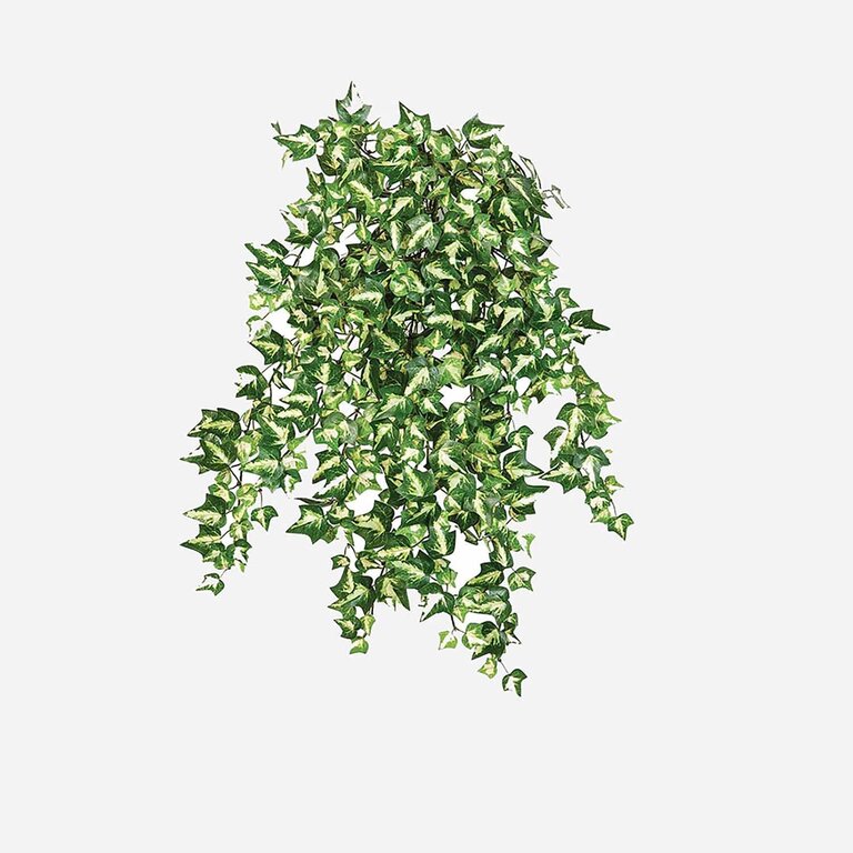 Kunstplant hangend Klimop met groenwitte bladeren is een hangplant met een natuurgetrouwe uitstraling en een lengte van 50 cm.