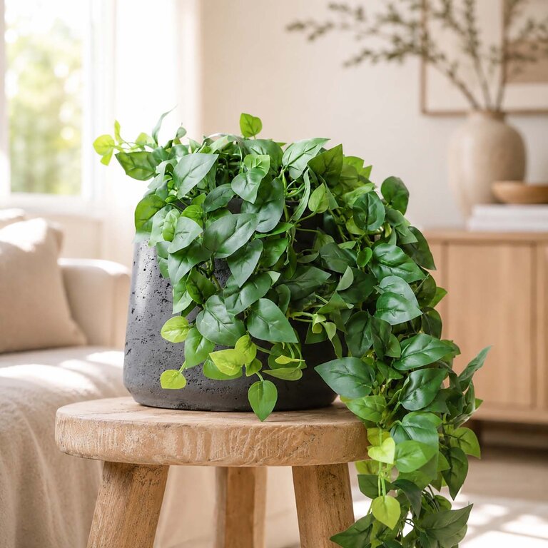 Kunstplant hangend Philodendron met groene bladeren is een hangplant met een natuurgetrouwe uitstraling en een lengte van 50 cm.