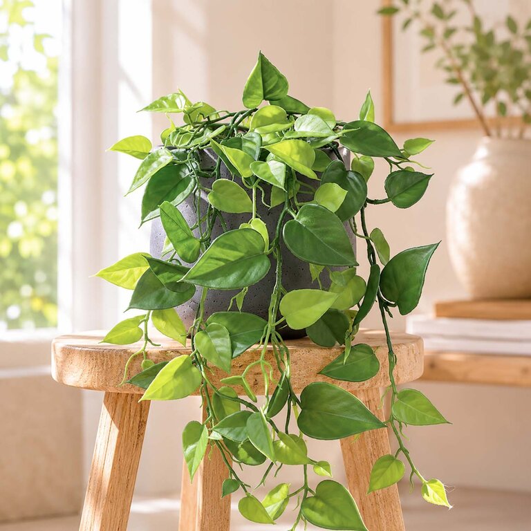Kunstplant hangend Philodendron met groene bladeren is een hangplant met een natuurgetrouwe uitstraling en een lengte van 90 cm.