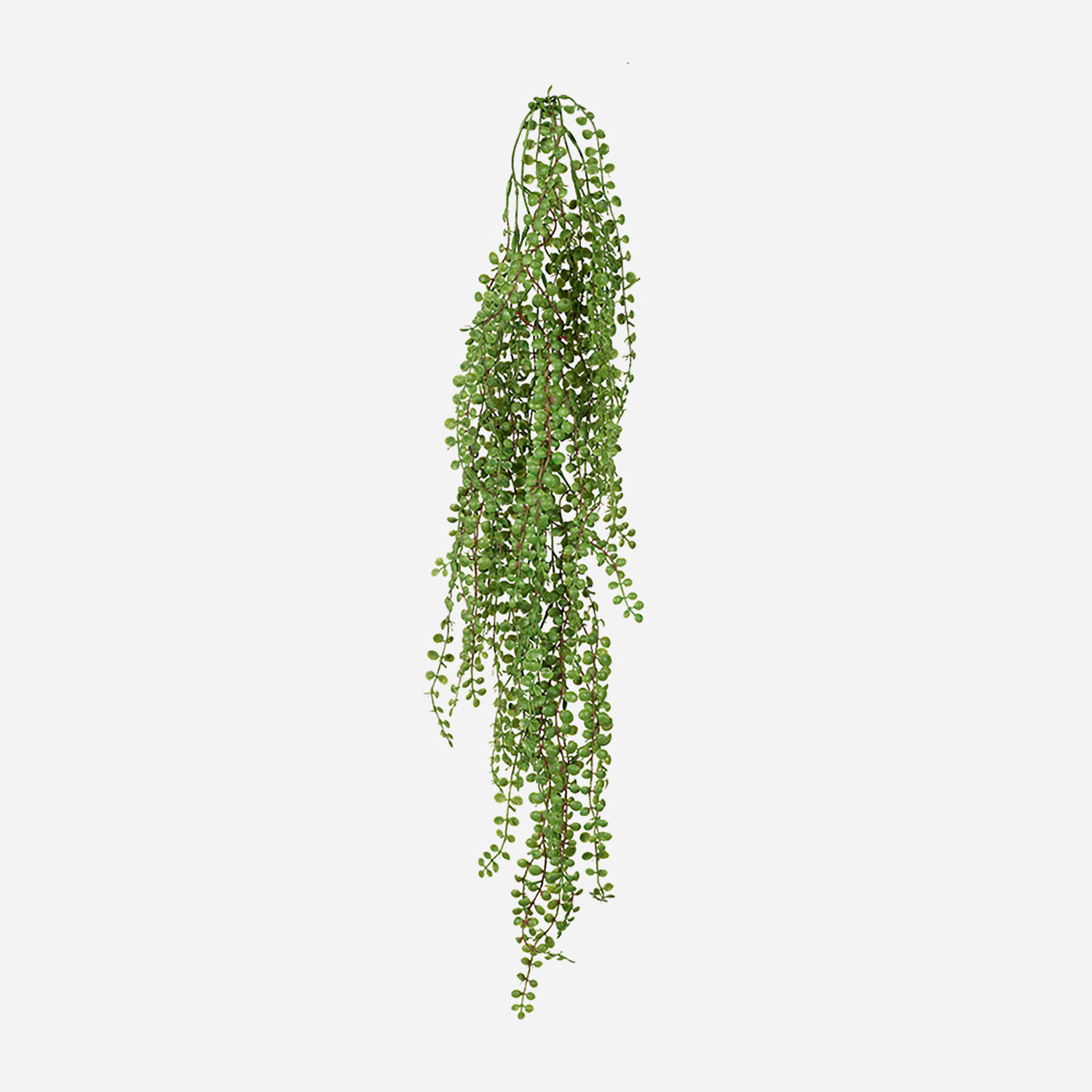 FloraWorks Kunstplant hangend Ficus Pumila (100 cm)