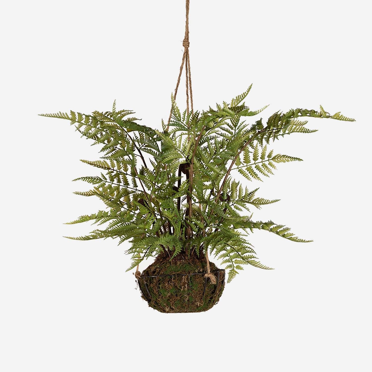 FloraWorks Kunstplant hangend Varen (45 cm)