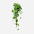 FloraWorks Kunstplant hangend Scindapsus (135 cm)