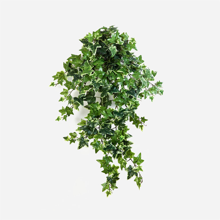 Kunstplant hangend Klimop met groenwitte bladeren is een hangplant met een natuurgetrouwe uitstraling en een lengte van 70 cm.