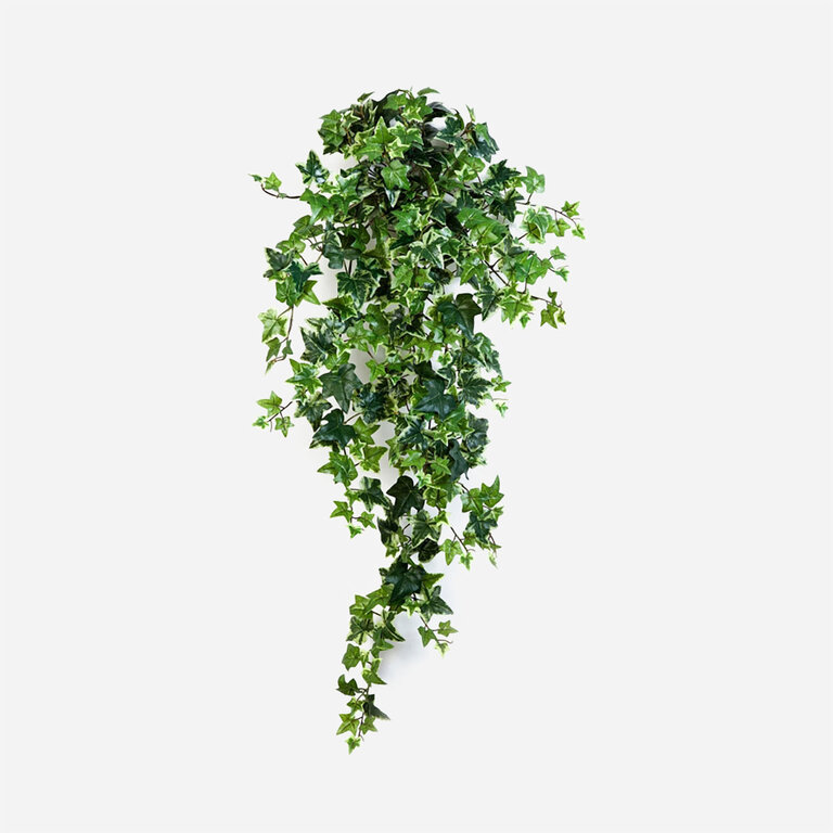 Kunstplant hangend Klimop met groenwitte bladeren is een hangplant met een natuurgetrouwe uitstraling en een lengte van 90 cm.