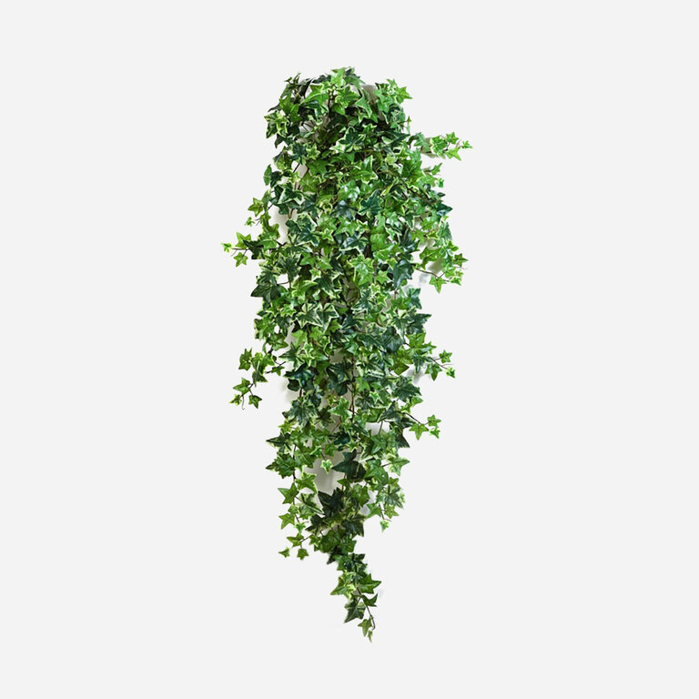 Kunstplant hangend Klimop met groenwitte bladeren is een hangplant met een natuurgetrouwe uitstraling en een lengte van 110 cm.