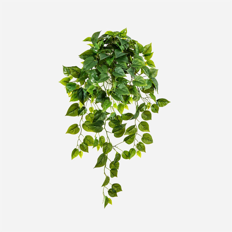 Kunstplant hangend Philodendron met groene bladeren is een hangplant met een natuurgetrouwe uitstraling en een lengte van 85 cm.