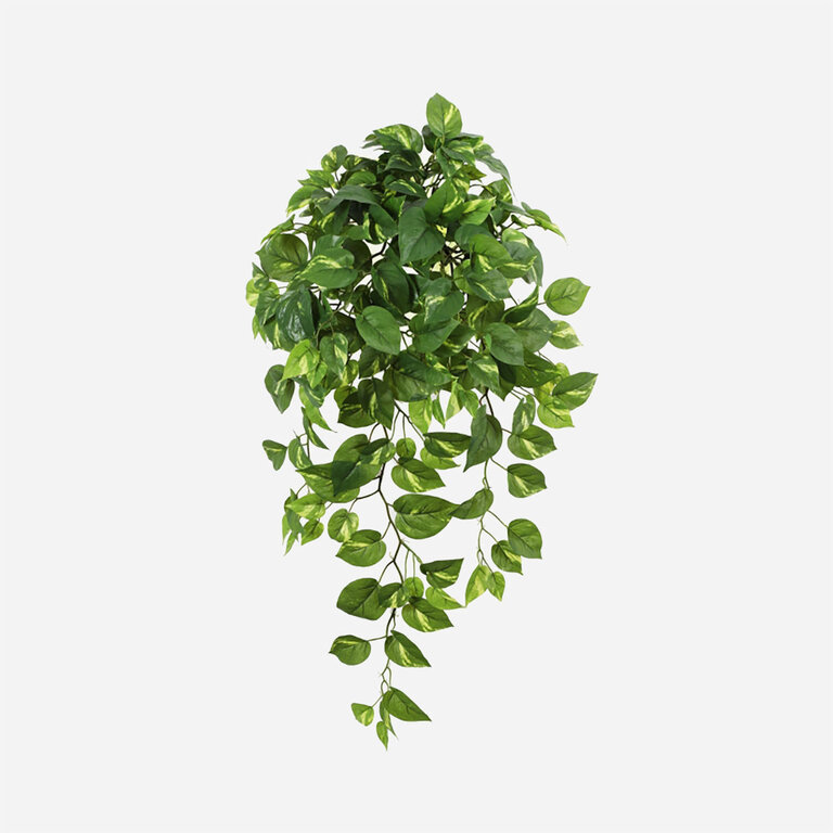 Kunstplant hangend Pothos met groene bladeren is een hangplant met een natuurgetrouwe uitstraling en een lengte van 85 cm.
