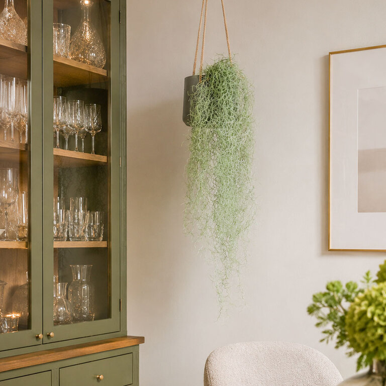 Kunstplant hangend Tillandsia met groengrijze bladeren is een hangplant met een natuurgetrouwe uitstraling en een lengte van 95 cm.