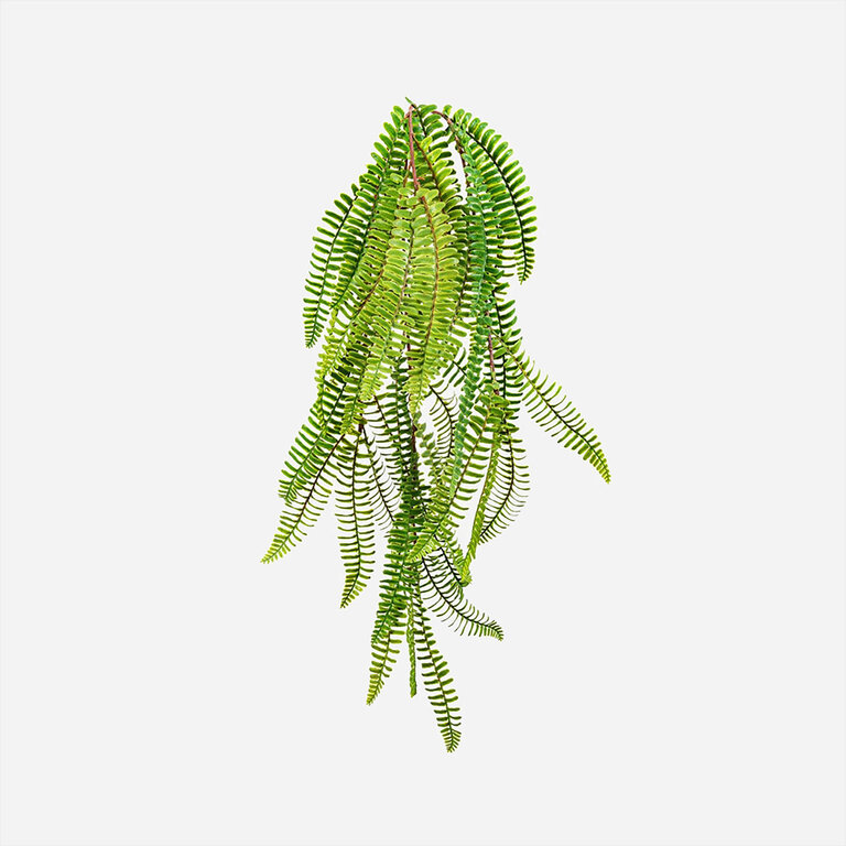 Kunstplant hangend Varen met groene bladeren is een hangplant met een natuurgetrouwe uitstraling en een lengte van 60 cm.