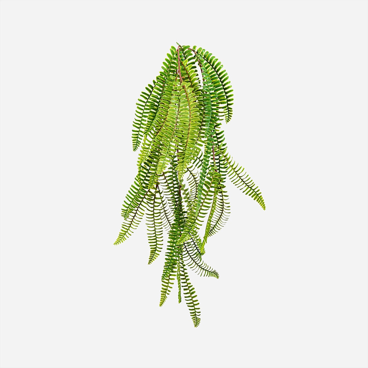 FloraWorks Kunstplant hangend Varen (60 cm)