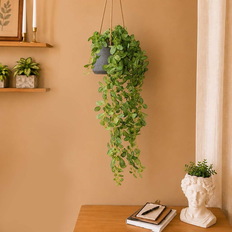 Kunstplant hangend Fittonia met groene bladeren is een hangplant met een natuurgetrouwe uitstraling en een lengte van 95 cm.