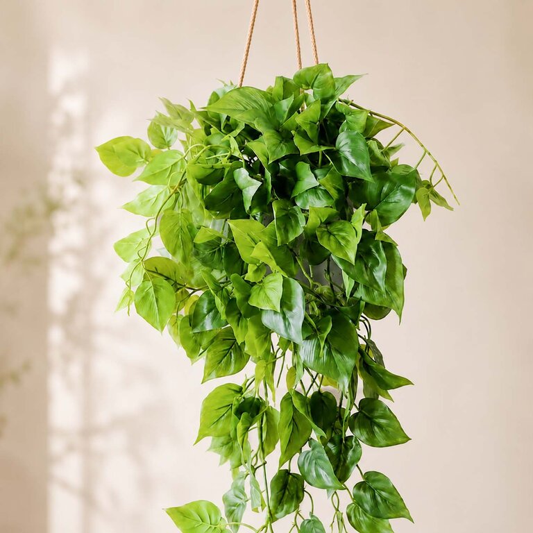 Kunstplant hangend Philodendron met groene bladeren is een hangplant met een natuurgetrouwe uitstraling en een lengte van 85 cm.