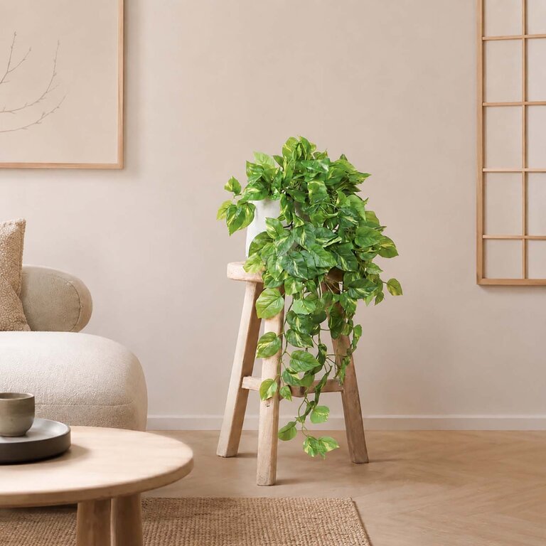 Kunstplant hangend Pothos met groene bladeren is een hangplant met een natuurgetrouwe uitstraling en een lengte van 85 cm.