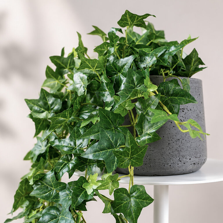 Kunstplant hangend Klimop met groene bladeren is een hangplant met een natuurgetrouwe uitstraling en een lengte van 70 cm.