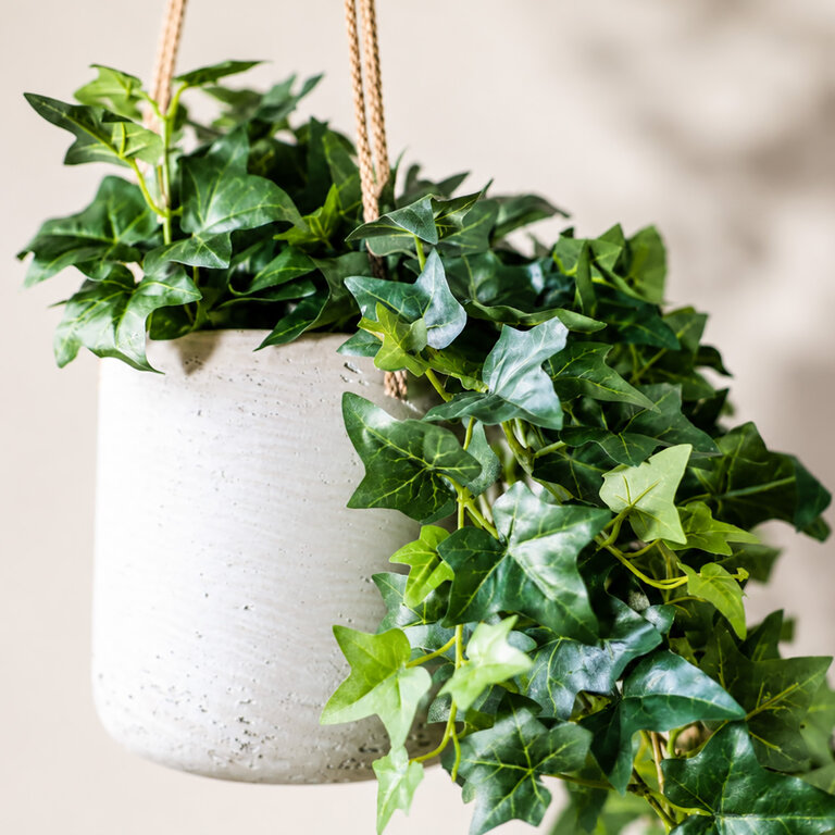 Kunstplant hangend Klimop met groene bladeren is een hangplant met een natuurgetrouwe uitstraling en een lengte van 90 cm.