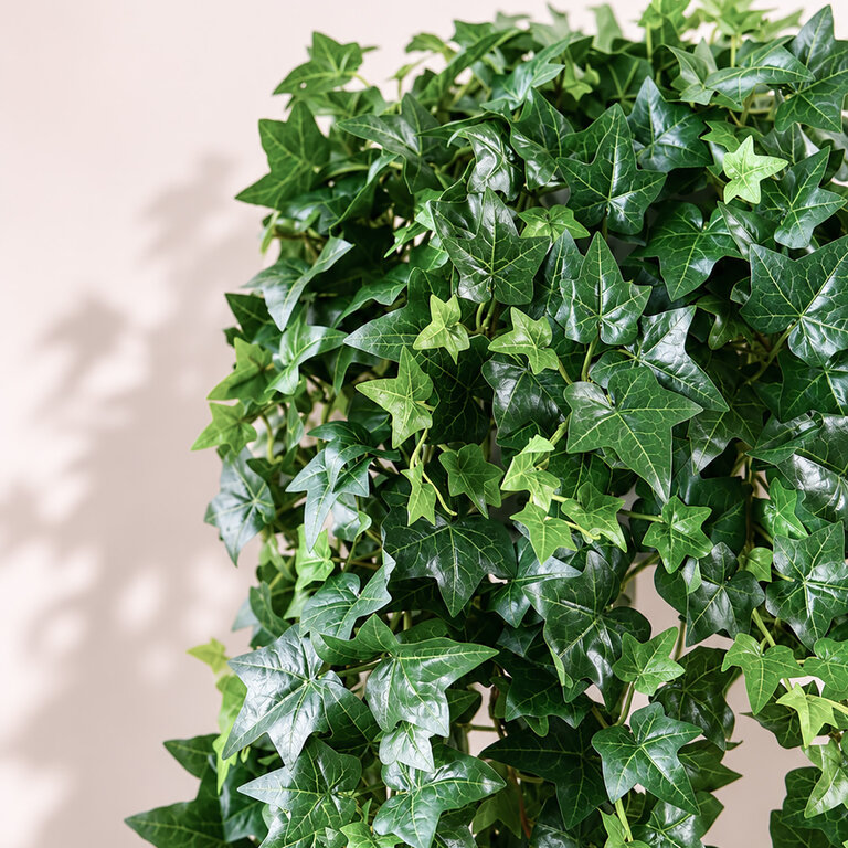 Kunstplant hangend Klimop met groene bladeren is een hangplant met een natuurgetrouwe uitstraling en een lengte van 110 cm.